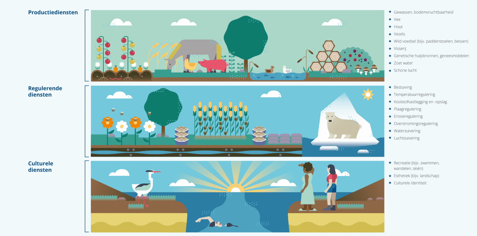 21105 nl infographics v01 mm 1